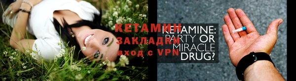 прущие грибы Осташков