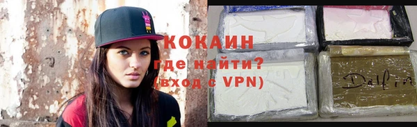 прущие грибы Осташков