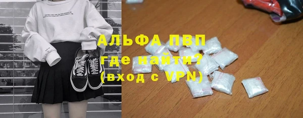 прущие грибы Осташков