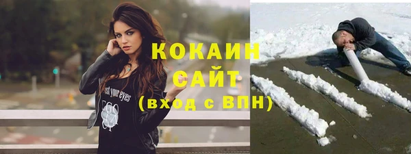 прущие грибы Осташков