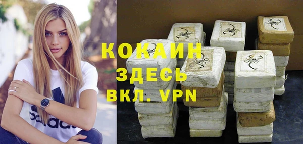 молекула духа Осинники