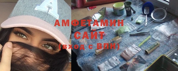 прущие грибы Осташков