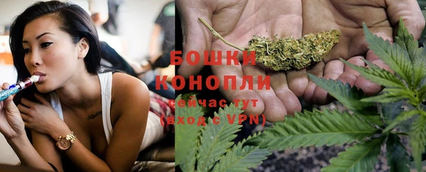 прущие грибы Осташков
