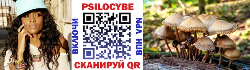 Псилоцибиновые грибы Psilocybe  купить  сайты  Арамиль 